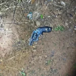Troca de tiros com a Força Tática em Primavera do Leste termina com suspeito morto e apreensão de cocaína