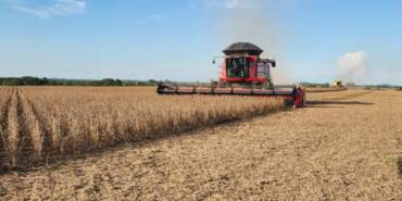 Imea projeta safra recorde de soja em Mato Grosso e alerta para custos e clima