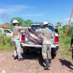 Cuiabá desarticula venda ilegal de lotes em área pública de 30 mil m² no Jardim Jockey Club