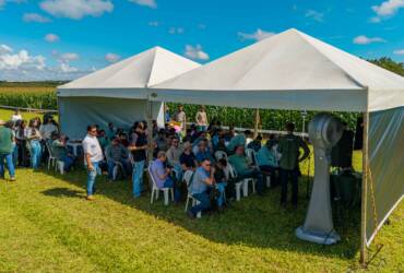 Mais de 260 participantes acompanham dia de campo sobre milho e manejo de fertilizantes no CTECNO Parecis