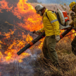 Mato Grosso e outros Estados são autorizados a contratar brigadas para reforçar combate a incêndios florestais