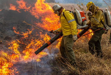 Mato Grosso e outros Estados são autorizados a contratar brigadas para reforçar combate a incêndios florestais