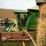 Mato Grosso gera empregos em fevereiro, enquanto mercado dos EUA dá sinais de desaceleração