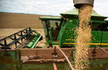 Mato Grosso gera empregos em fevereiro, enquanto mercado dos EUA dá sinais de desaceleração