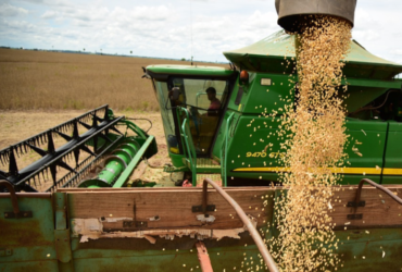 Mato Grosso gera empregos em fevereiro, enquanto mercado dos EUA dá sinais de desaceleração
