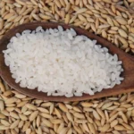 Mercado de arroz segue travado no Sul com produtores resistentes e compradores cautelosos