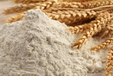 Mercado de trigo no Brasil mostra contrastes entre farelo em queda e grão valorizado