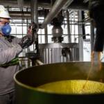 Etanol fecha safra com preços mais altos, mas vendas caem e cenário futuro exige cautela