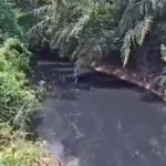 Município de Mato Grosso entra em estado de emergência por danos ambientais