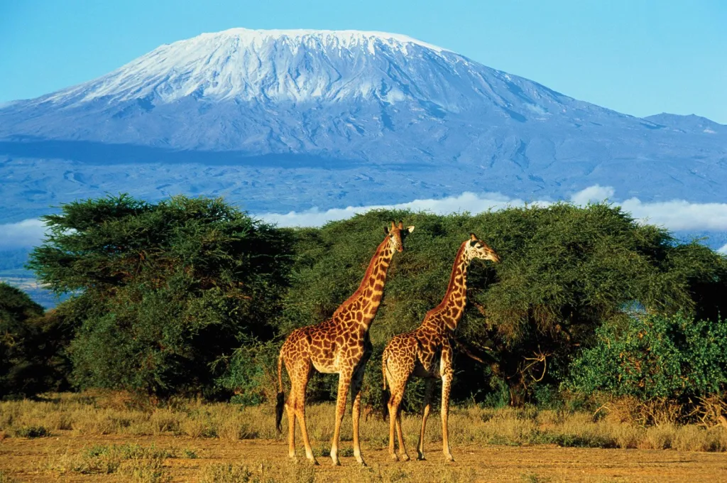 Monte Kilimanjaro