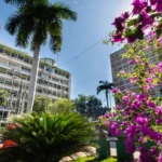 Nota Cuiabana sorteia R$ 50 mil nesta terça-feira no primeiro evento de 2026