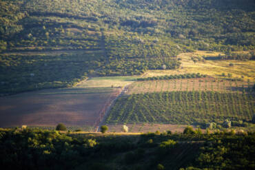 Nova regra do crédito rural acende alerta em produtores de Mato Grosso