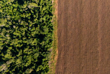 Nova regra do crédito rural acende alerta sistema pode travar financiamento de produtores em MT