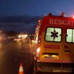 Onça é atropelada na BR-163 em Lucas do Rio Verde; ocupantes de veículo saem ilesos