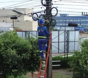 Operação Cacicus (2)