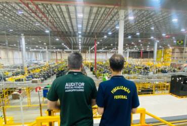Operação Páscoa Segura remove 2 mil anúncios irregulares de alimentos em plataformas digitais