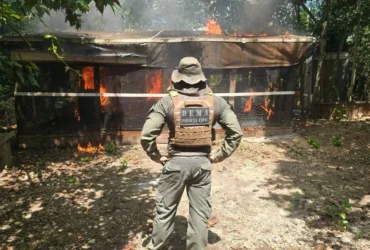 Operação Ocupação Proibida combate crime ambiental em MT