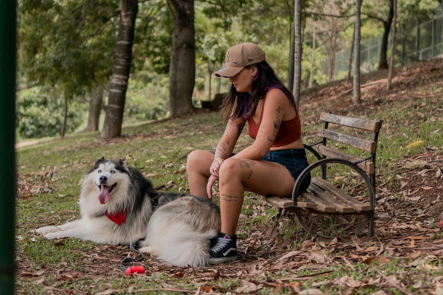Orientação comportamental ganha espaço no cuidado com pets Pexels (1)