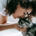 Orientação comportamental ganha espaço no cuidado com pets