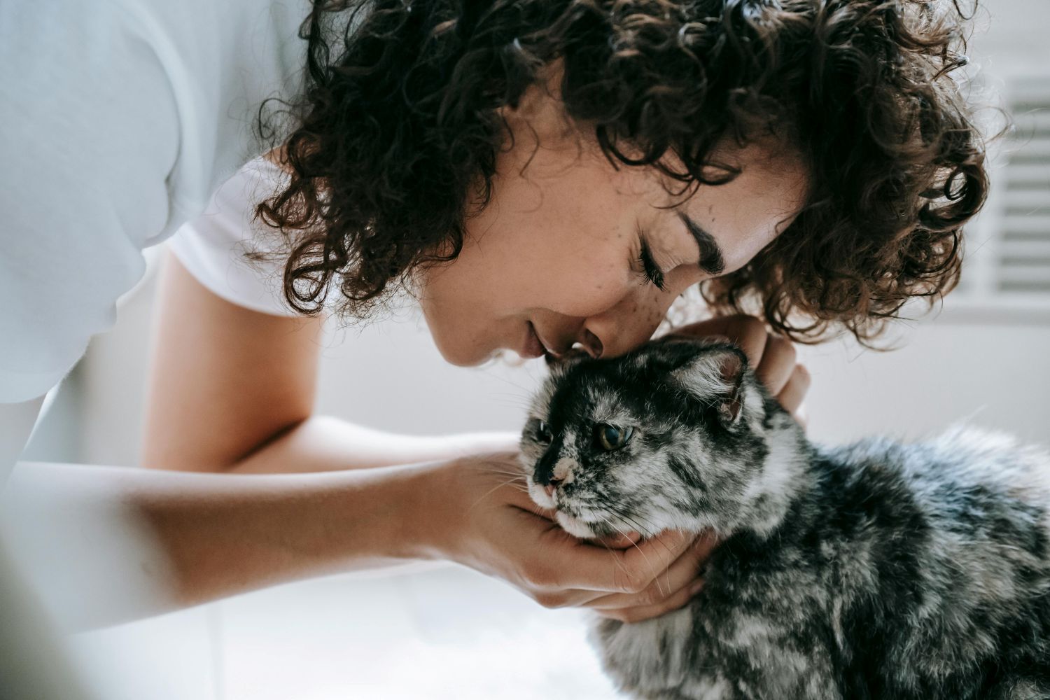 Orientação comportamental ganha espaço no cuidado com pets Pexels (2)