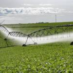 PIB do agronegócio cresce expressivos 12% em 2025