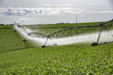 PIB do agronegócio cresce expressivos 12% em 2025
