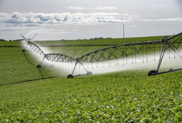 PIB do agronegócio cresce expressivos 12% em 2025