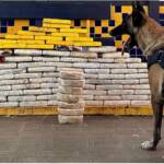 PRF apreende mais de 136 kg de drogas e identifica documento falso em rodovias de Mato Grosso