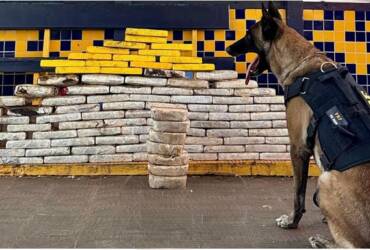 PRF apreende mais de 136 kg de drogas e identifica documento falso em rodovias de Mato Grosso