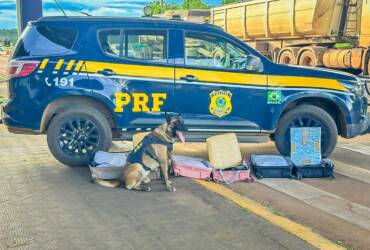 PRF apreende mais de 21 quilos de cocaína em três ações na BR 364 em Mato Grosso