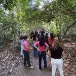 Sinop realiza trilha pedagógica no Parque Florestal com professores da rede municipal