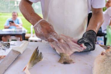 Peixe Santo