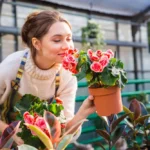 Plantas para aromaterapia: propriedades, compostos e efeitos no corpo e na mente