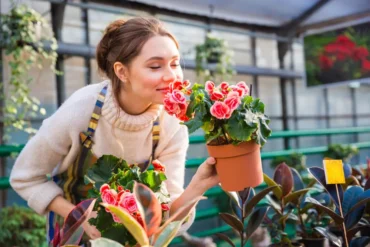 Plantas para aromaterapia