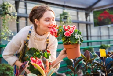 Plantas para aromaterapia