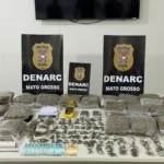 Denarc e PRF apreendem 152 kg de skunk em caminhão e fecham entreposto do tráfico em Várzea Grande