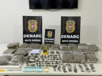 152 kg de Skunk são apreendidos em VG