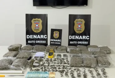 152 kg de Skunk são apreendidos em VG