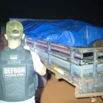 Polícia Civil apreende carga de aroeira ilegal durante operação de fronteira em Vila Bela