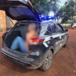 Operação Curral do Crime combate furto de gado em Jaciara