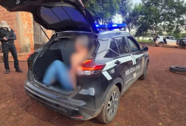 Operação Curral do Crime combate furto de gado em Jaciara