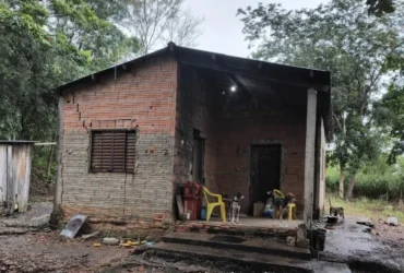 Polícia Civil identifica suspeito por maus-tratos e abuso contra cachorro