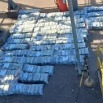 Polícia Civil incinera mais de uma tonelada de “supermaconha” em Alto Araguaia após apreensão histórica