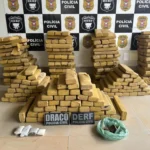 Operação Pharus: Polícia Civil enterra logística do tráfico com apreensão de 305 tabletes de maconha em Rondonópolis