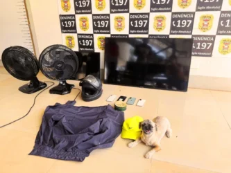 Furto em Rondonópolis: Polícia Civil prende suspeito