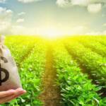 Produtores do Centro-Oeste relatam dificuldades de crédito e cobram ajustes no Plano Safra 2026/2027