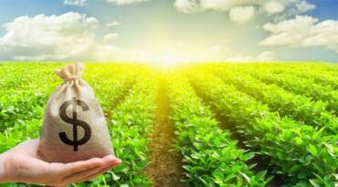 Produtores do Centro Oeste relatam dificuldades de crédito e cobram ajustes no Plano Safra 2026 2027