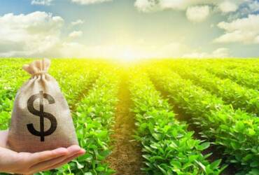 Produtores do Centro Oeste relatam dificuldades de crédito e cobram ajustes no Plano Safra 2026 2027