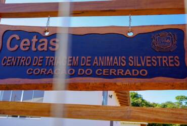 Projeto de doação de área do Cetas para Sema é aprovado em meio a debate