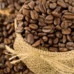 Proximidade da colheita pressiona preços do café e reduz ritmo de negociações